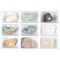Scott Resources Mohs Scale of Mineral Hardness Set without Diamond, 9 Specimens
